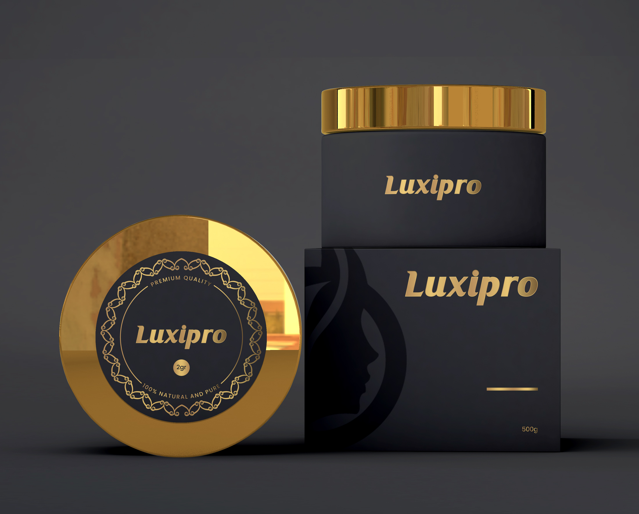 Logo Design by SL Designer for Loxipro | Design #31272890