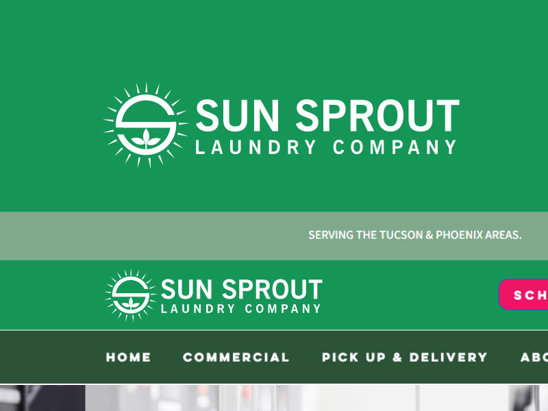 Logo Design by ePeakpro Solutions for Peach Skin & Laser | Design #31277766