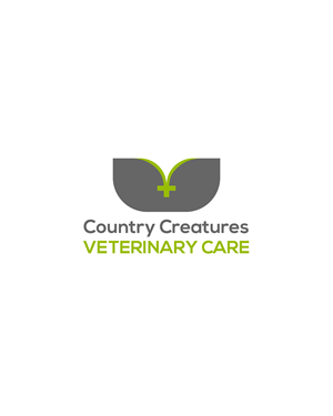 Logo Design by kamel graphic