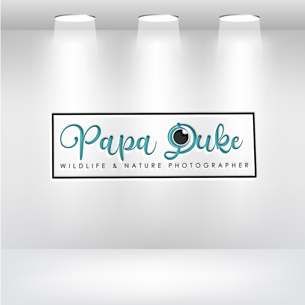 Logo Design by Uhm@design for Orange Frog | Design #31291474