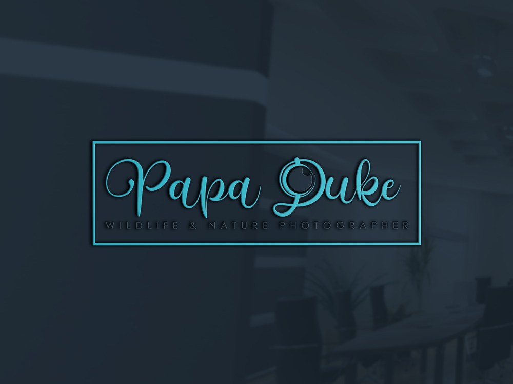 Logo Design by Uhm@design for Orange Frog | Design #31291476