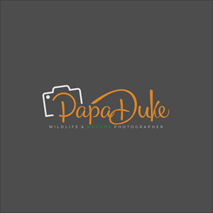 Logo Design by Rasyid88