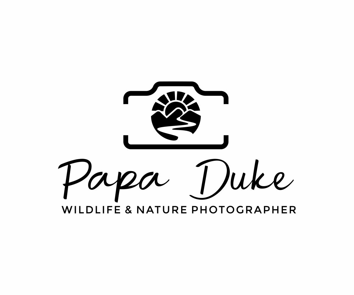 Logo Design by Thati Designs for Orange Frog | Design #31288095