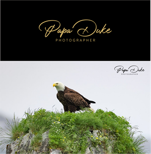 Logo Design by Atiek for Orange Frog | Design: #31286036