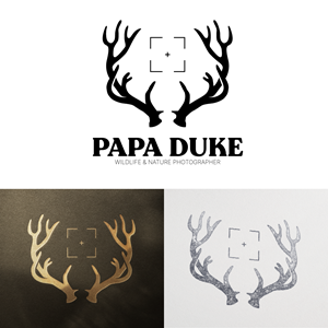 Logo Design by JaredMade for Orange Frog | Design: #31320854