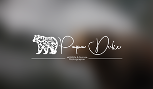 Logo Design by Caribu inc for Orange Frog | Design: #31322933