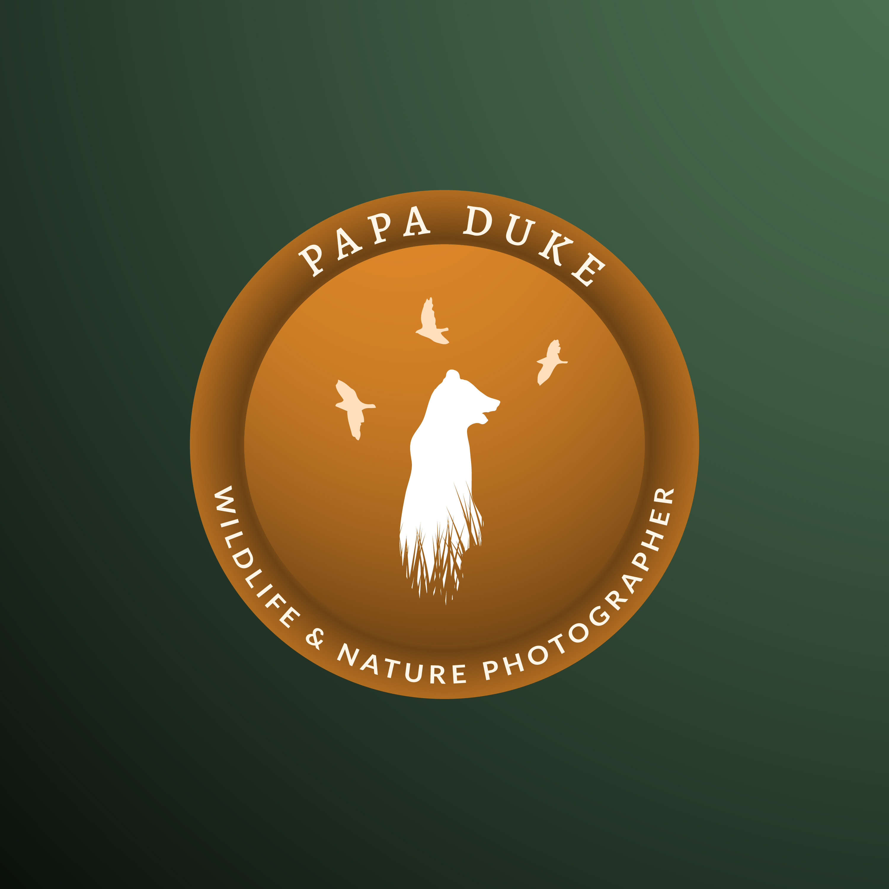 Logo Design by ARTIZIT for Orange Frog | Design #31296275