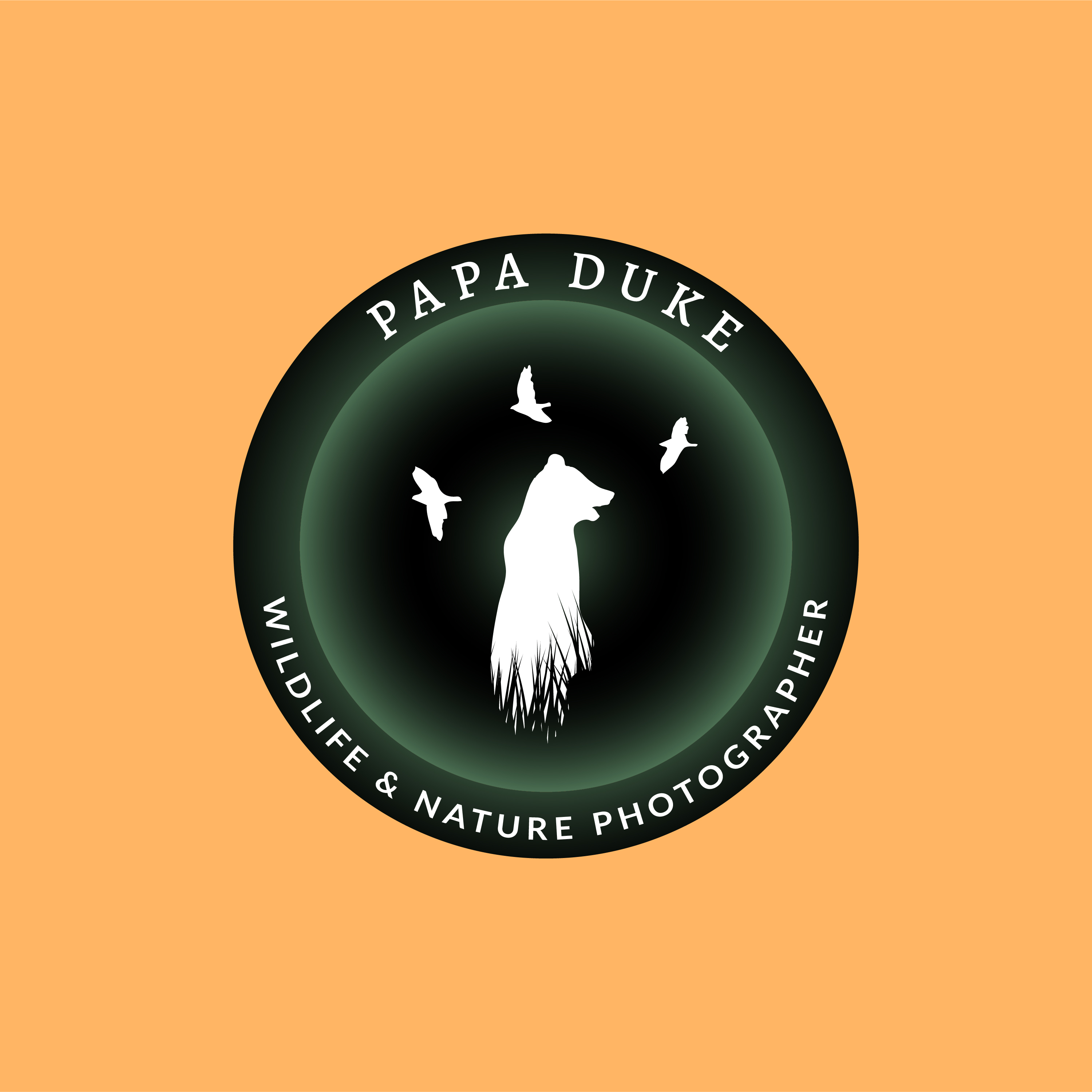 Logo Design by ARTIZIT for Orange Frog | Design #31297206