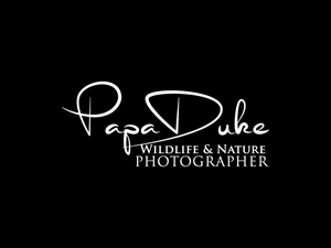 Logo Design by CrossFit design  for Orange Frog | Design: #31288691