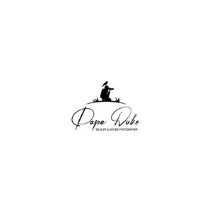 Logo Design by Designer Nayem for Orange Frog | Design: #31288541