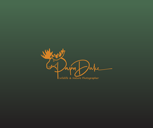 Logo Design by Mukko