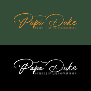 Logo Design by M Art & Design for Orange Frog | Design: #31286140