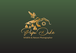 Design de Logo par preetArt pour Orange Frog | Design #31324597