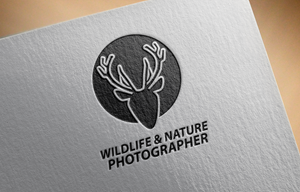 Logo Design by Kainatpro