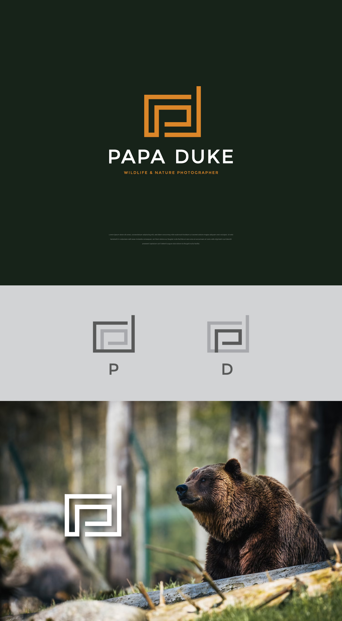 Design de Logo par apik. pour Orange Frog | Design #31287486