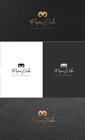 Logo Design by GLDesigns for Orange Frog | Design: #31287966