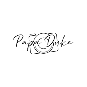 Logo Design by LAXMI DESIGNHUB for Orange Frog | Design: #31292350