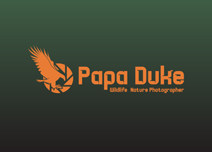 Design de Logo par cafemountdesigns pour Orange Frog | Design #31287380