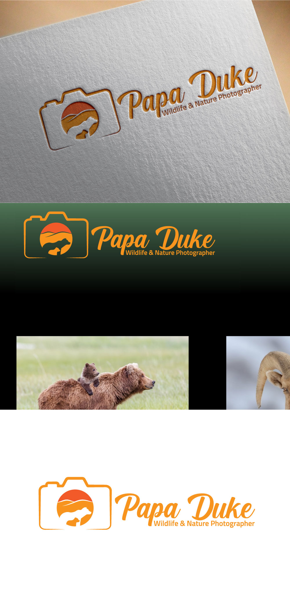 Logo Design by designA78 for Orange Frog | Design #31287026