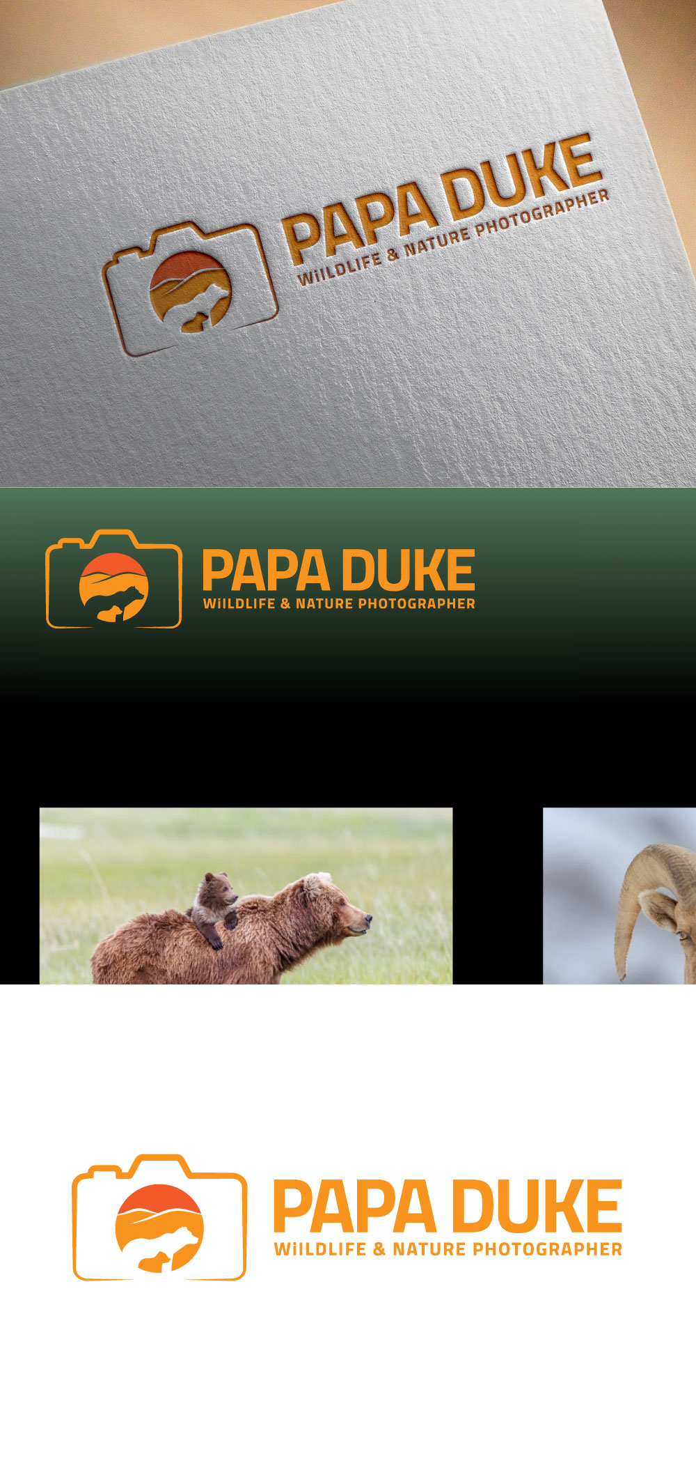 Logo Design by designA78 for Orange Frog | Design #31289285