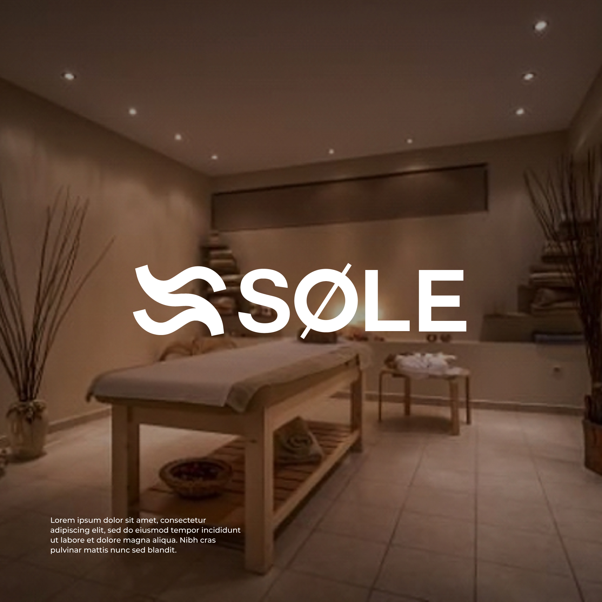 Diseño de Logo por ibart para Valskon Consulting Inc. | Diseño #31331052