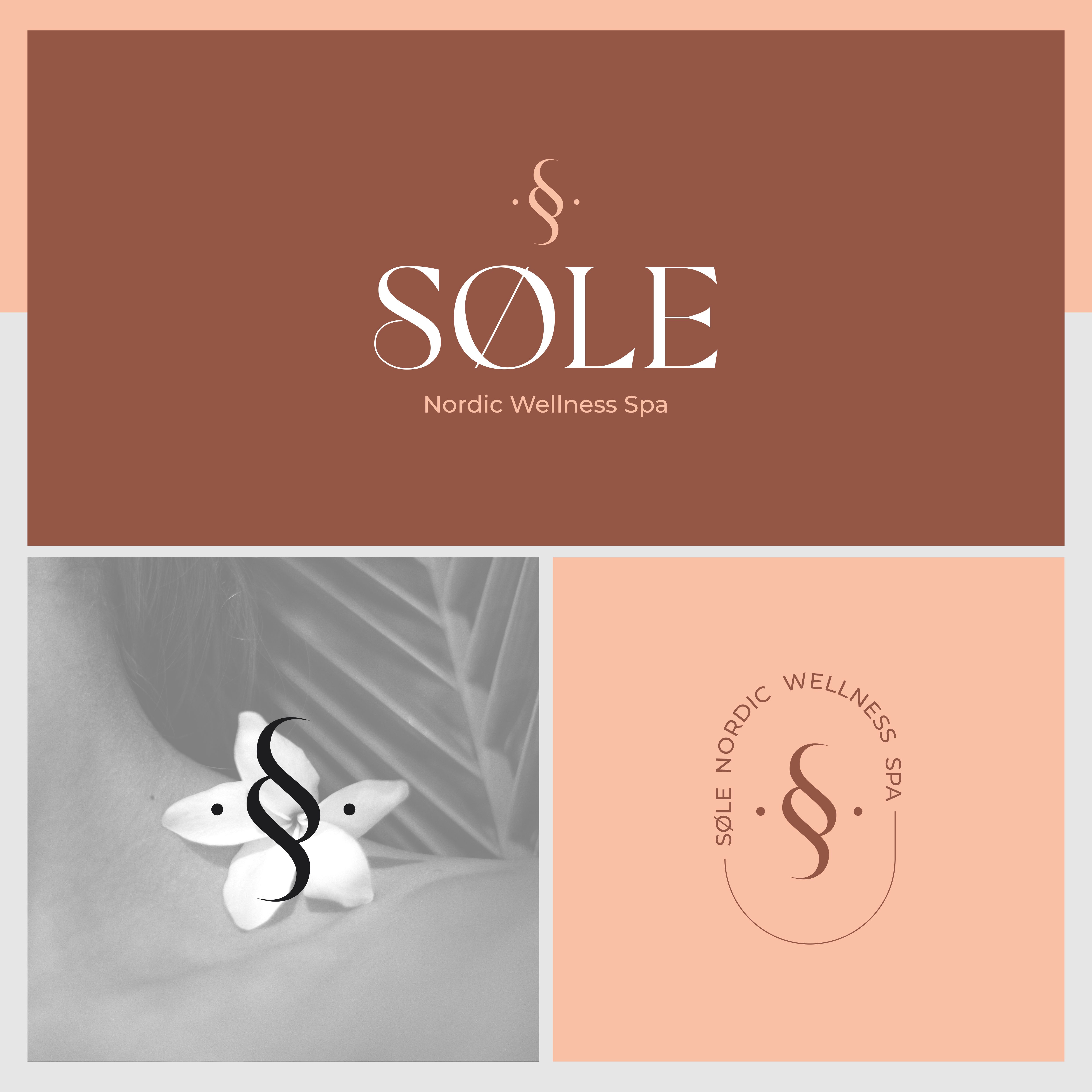 Logo Design by Adilia Romadina for Valskon Consulting Inc. | Design #31290473