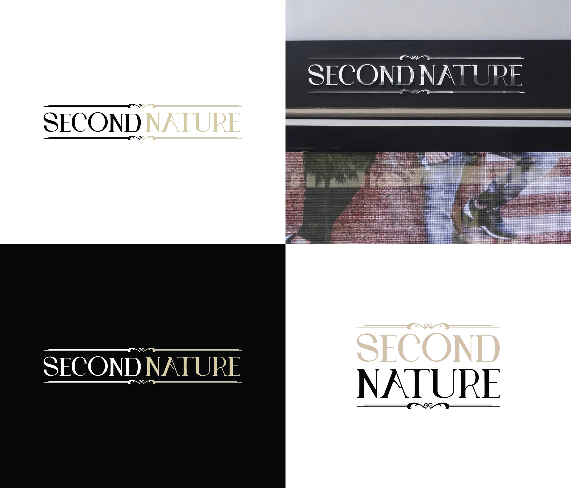 Logo Design by Ellene for this project | Design #31313129