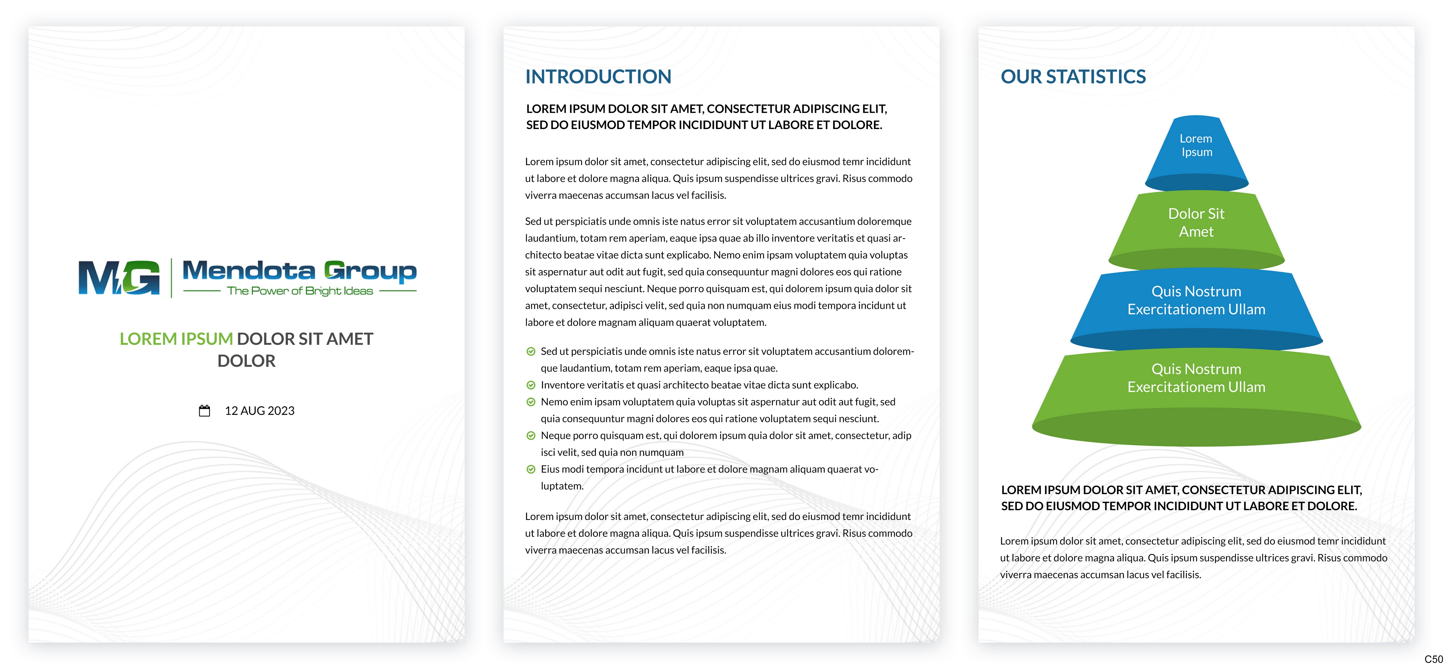 Diseño de Plantilla de Word por pb para este proyecto | Diseño #31302028