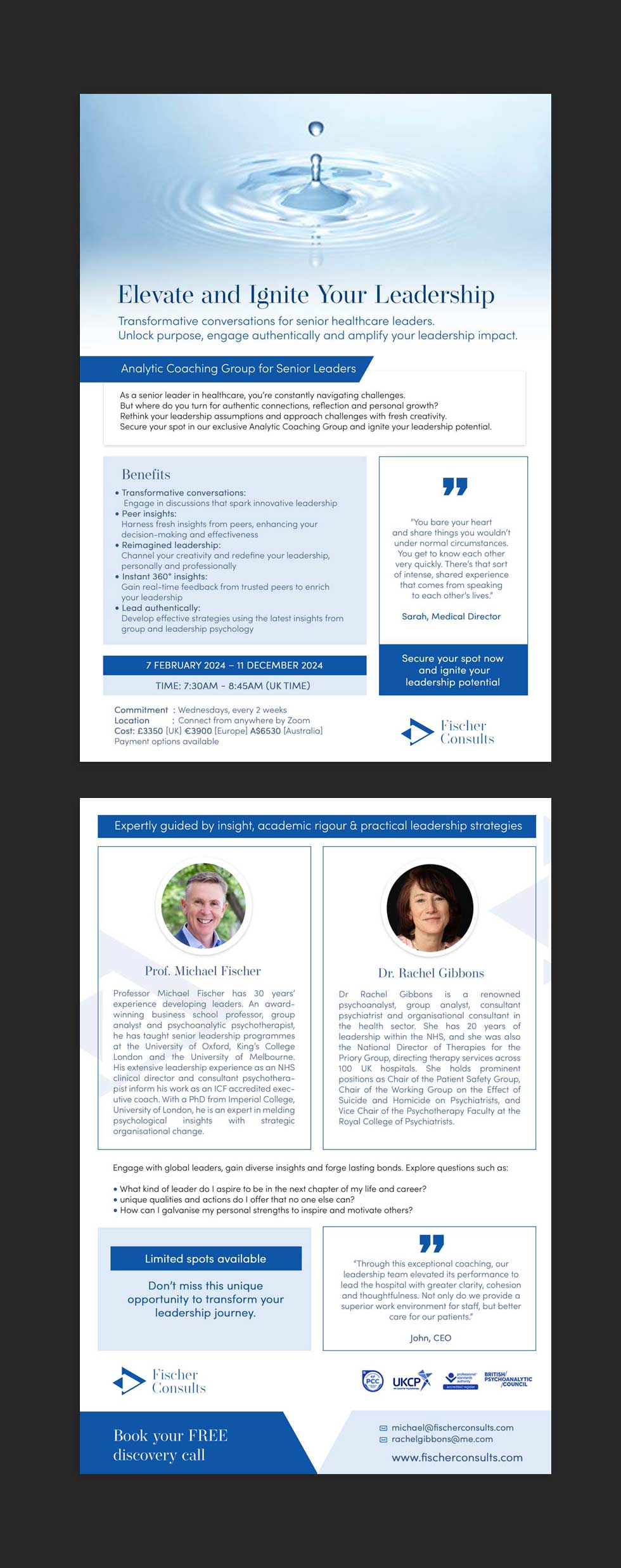 Flyer-Design von DA. für Fischer Consults | Design #31305807