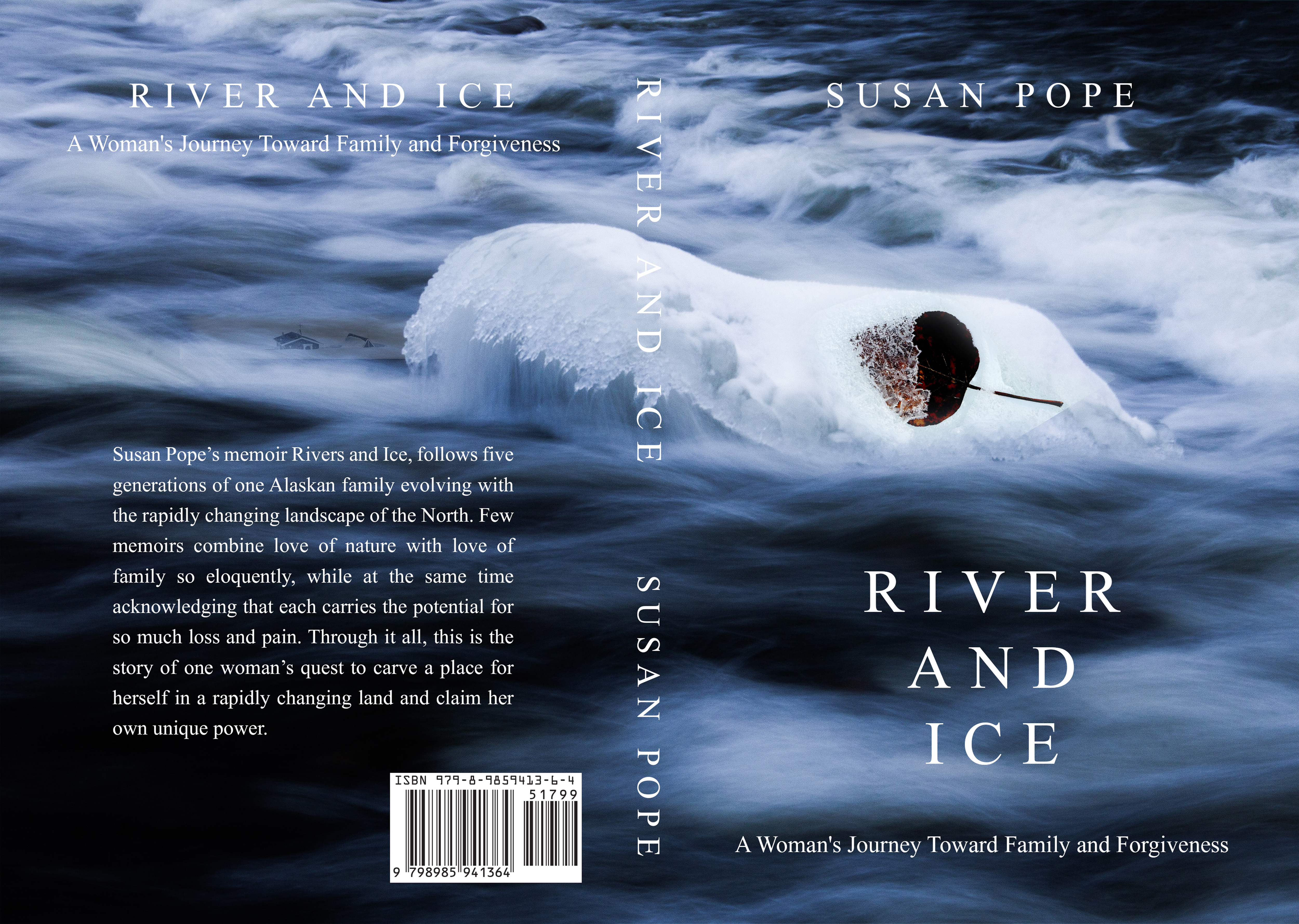 Design de Couverture de Livre par aj pour Riddle Brook Publishing LLC | Design #31329602