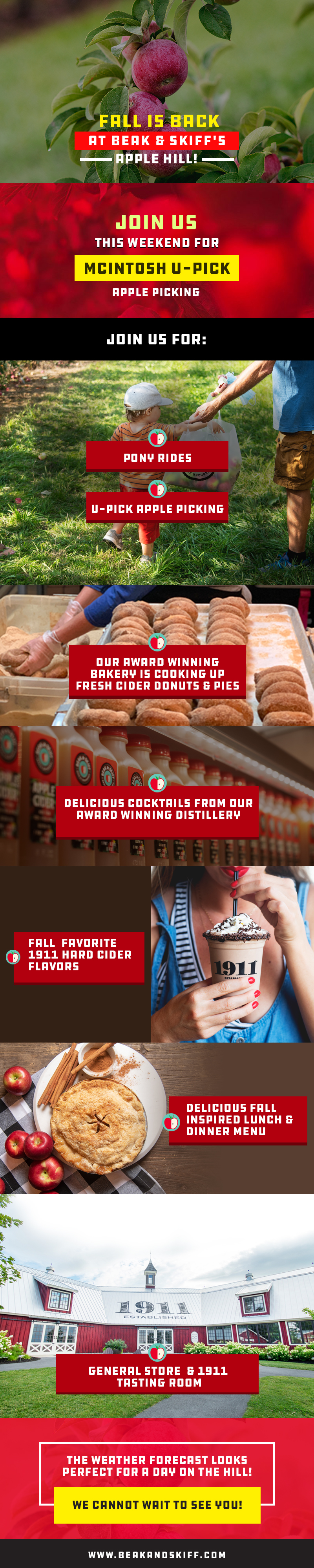 Web Design by Expert Designer for this project | Design #31308766
