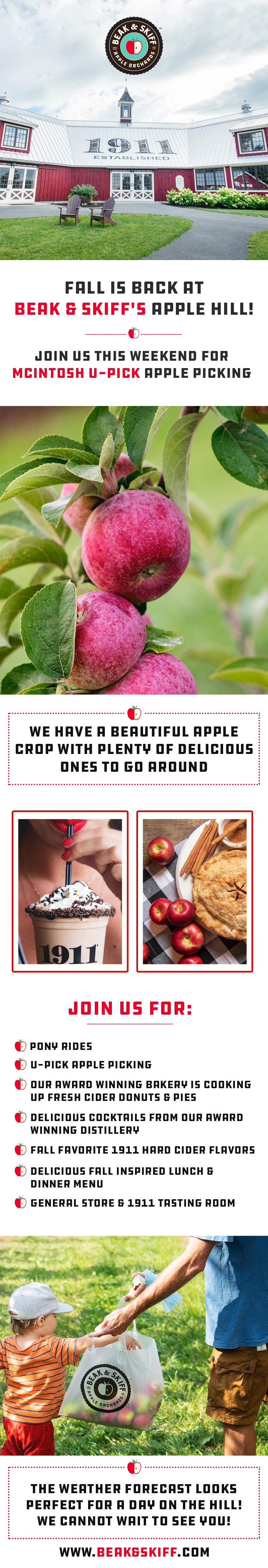 Web Design by Creations Box 2015 for this project | Design #31312891