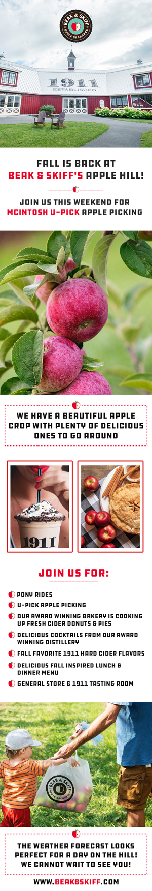 Web Design by Creations Box 2015 for this project | Design: #31312891