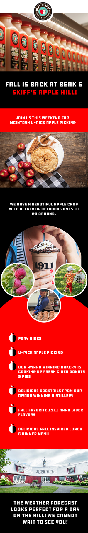 Web Design by Creations Box 2015 for this project | Design: #31313152
