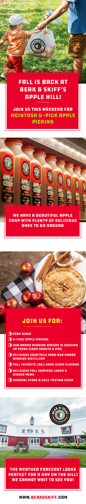 Web Design by Creations Box 2015 for this project | Design: #31313153