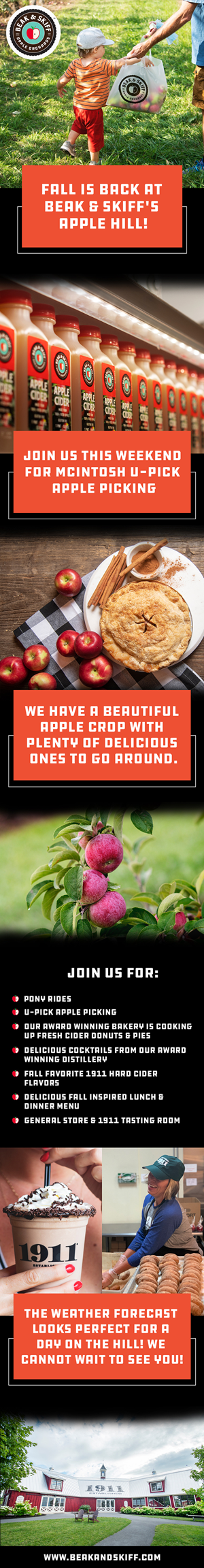 Web Design by Creations Box 2015 for this project | Design: #31315207