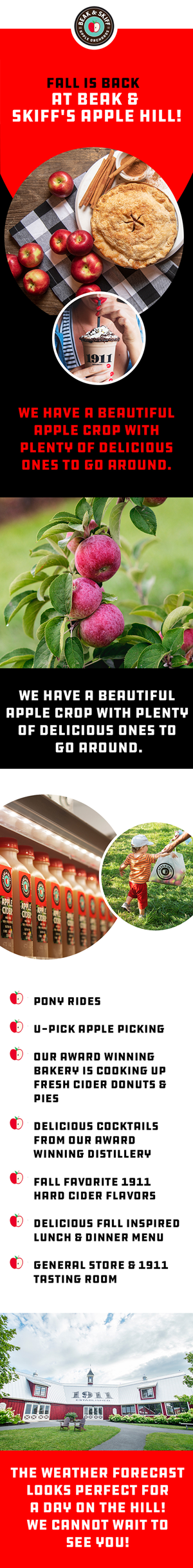 Web Design by Creations Box 2015 for this project | Design: #31316692
