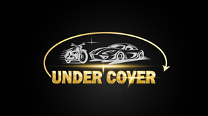 Logo Design by BabyDriverFour