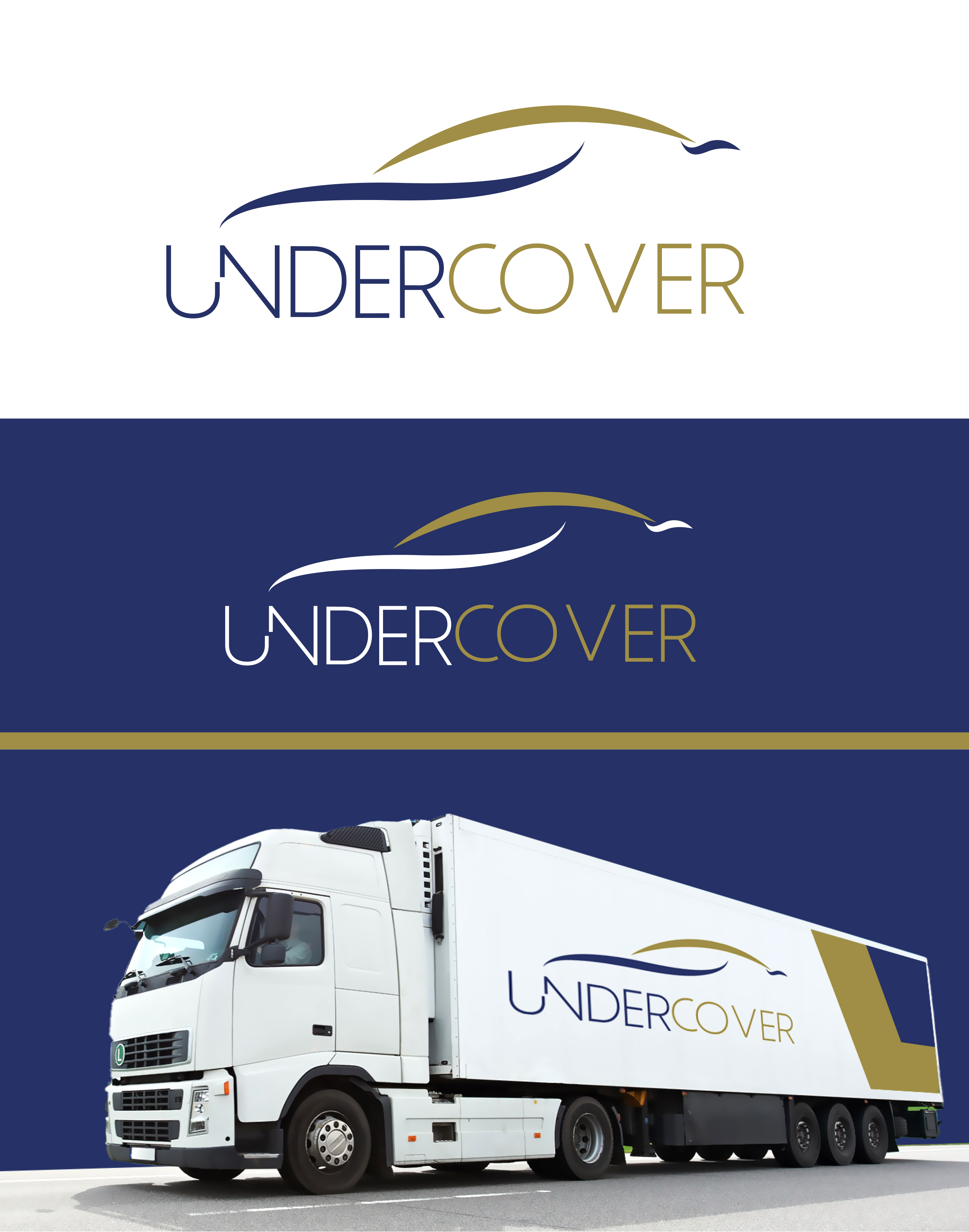 Logo-Design von Ahmed_Alminiawy für dieses Projekt | Design #31317214