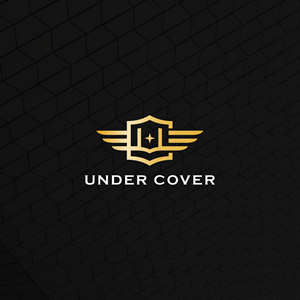 Logo Design by bro wisanggeni