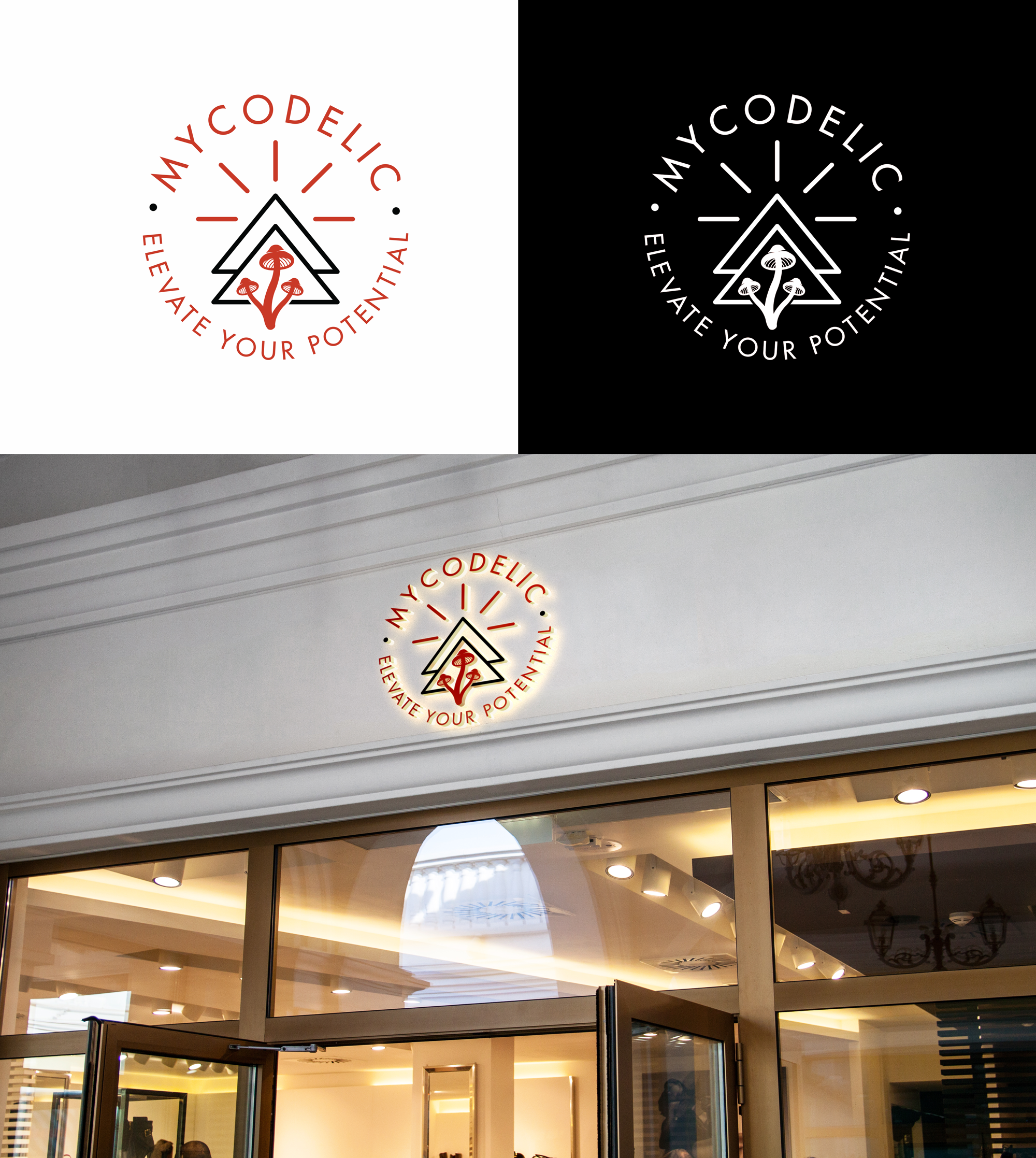 Design de Logo par RA-bica pour MycoFocus | Design #31315875