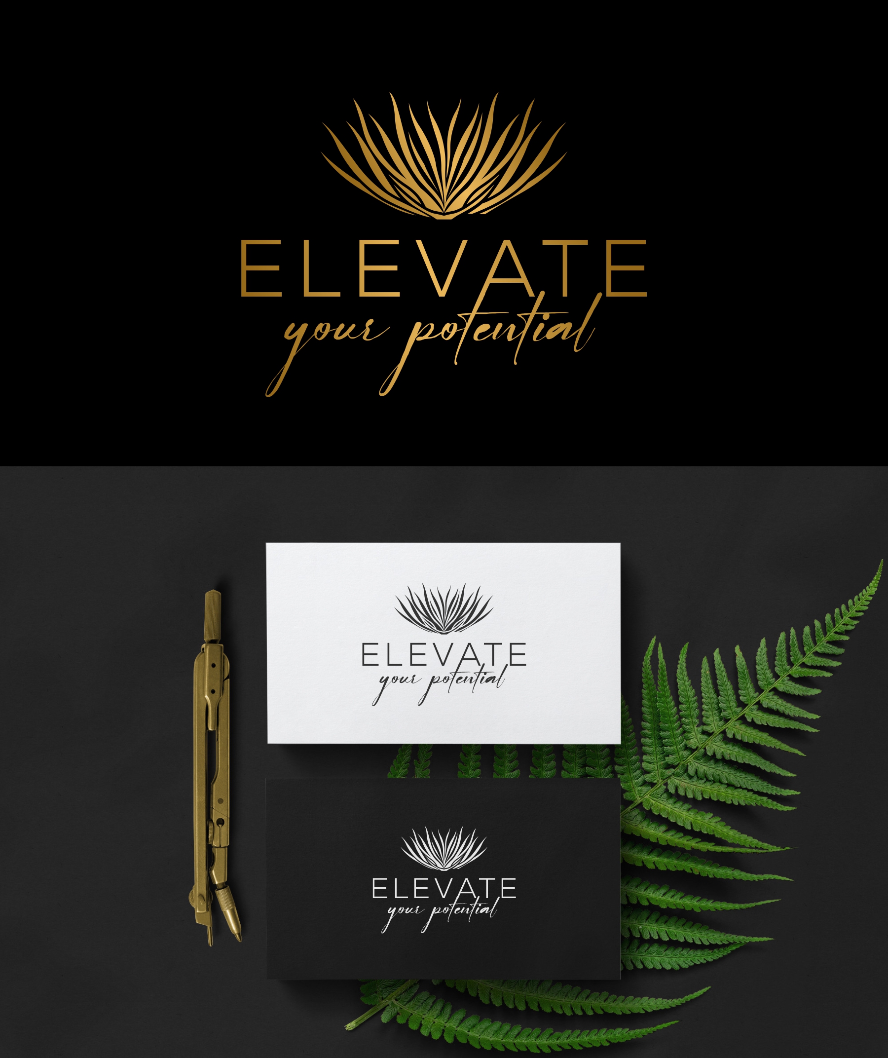 Design de Logo par debdesign pour MycoFocus | Design #31316750