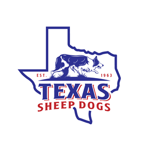 Logo Design by MagicArt Pix