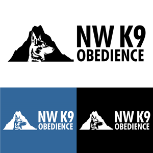Logo Design by Tayyab Khurram for this project | Design: #31329805