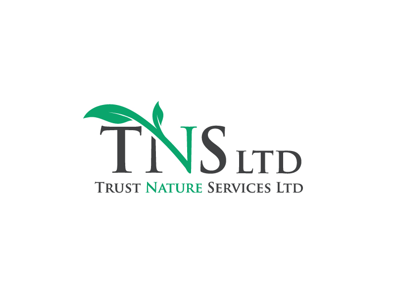 Diseño de Logo por 4lv para este proyecto | Diseño #31351276