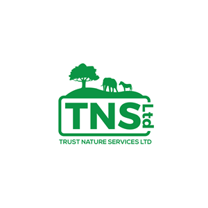 Logo Design by geni