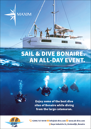 Flyer Design by MarkoE for AB Dive | Design #31323666