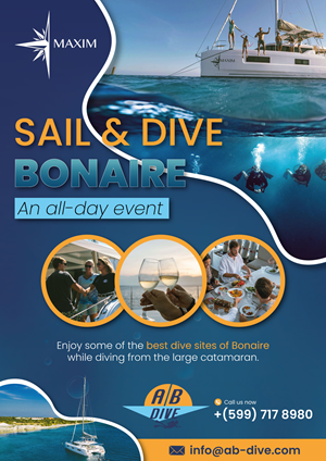 Flyer Design by Adi GFX for AB Dive | Design #31336022