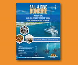 Flyer Design by Rifu Graphics for AB Dive | Design: #31337267