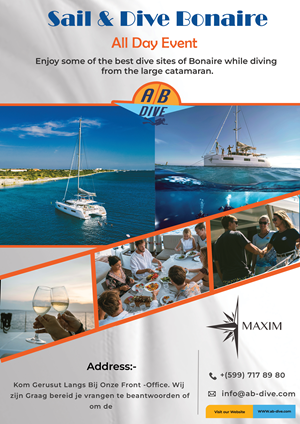 Flyer Design by Desire Design Solutions for AB Dive | Design: #31337404
